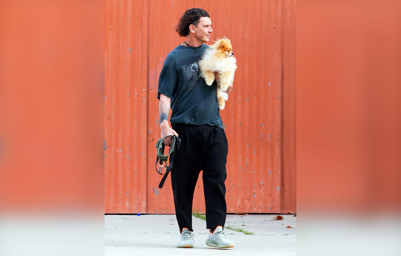 gavin rossdale walks his dog in the park blake shelton gushes holiday plans with gwen stefani