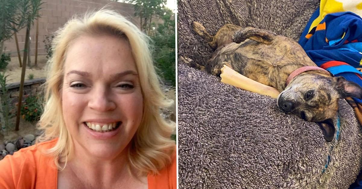 Sister Wives' Janelle Brown Updates Fans On Beloved Pup's Health Scare