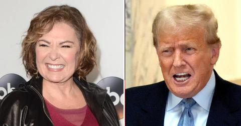 roseanne barr posts photo with donald trump pp
