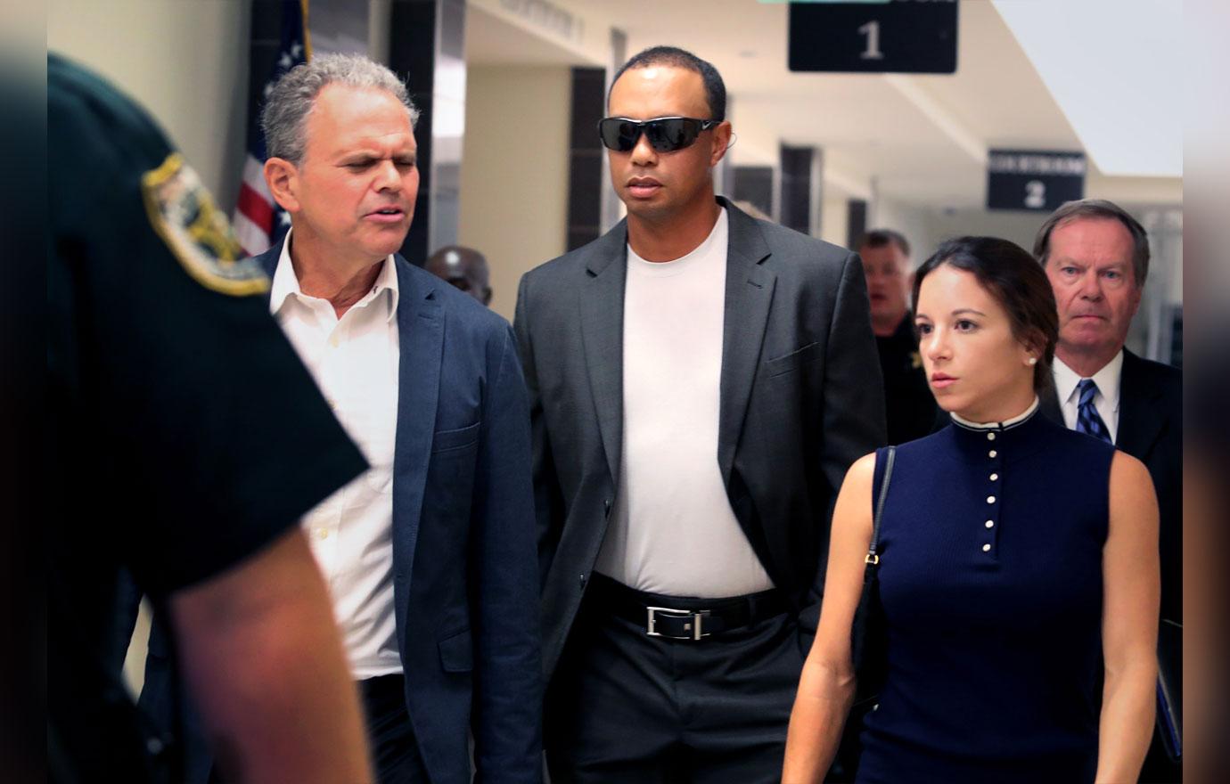 Tiger woods guilty plea