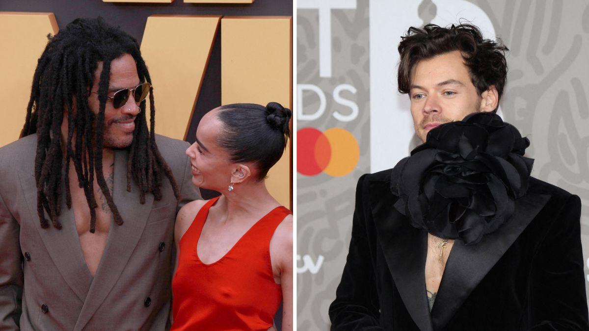 Image of Harry Styles' connection with Lenny Kravitz reportedly played a role in the engagement.