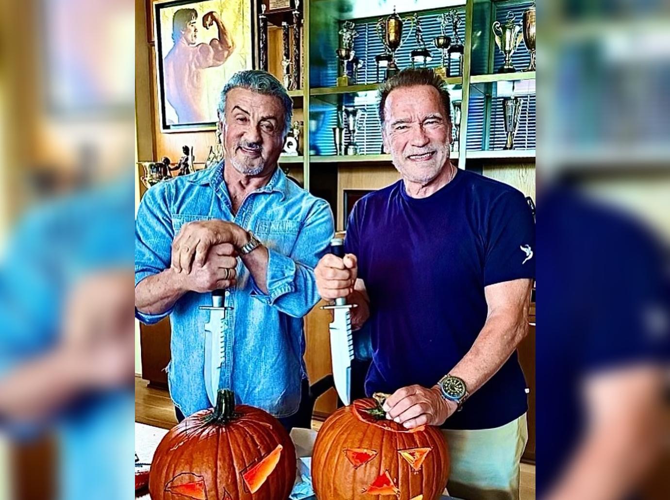 For Spooky Season, Gisele Bündchen Goes Pumpkin Shopping, Tom Brady Texts  Ron DeSantis