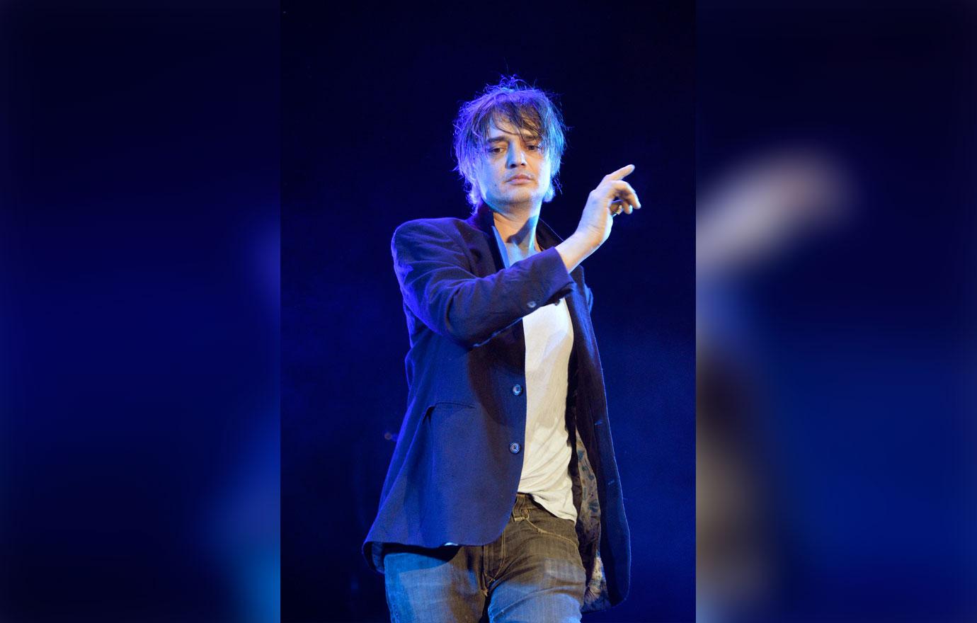 pete doherty hospitalized hedgehog