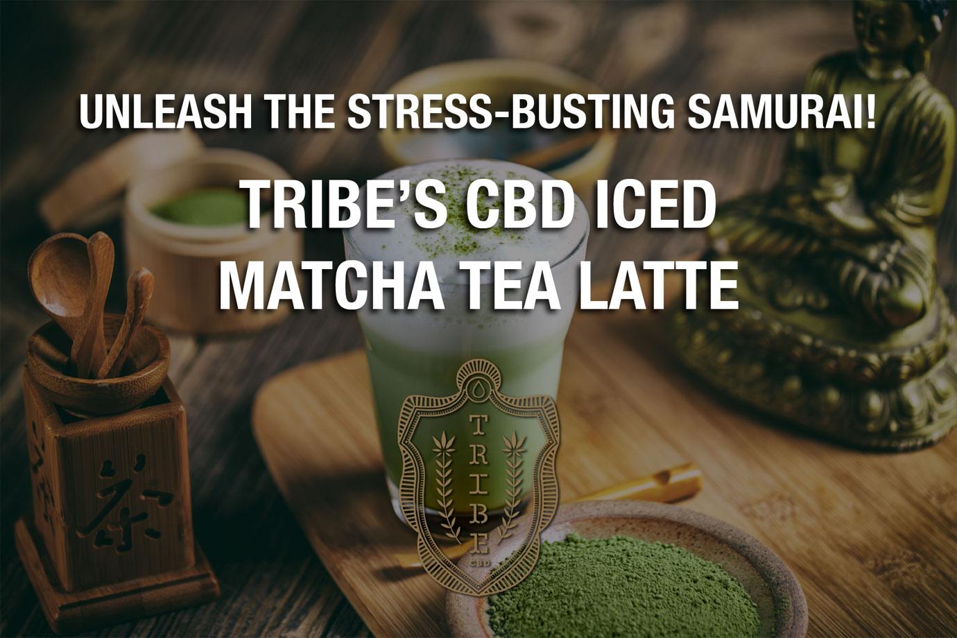 unleash the stress busting samurai tribes cbd iced matcha tea latte