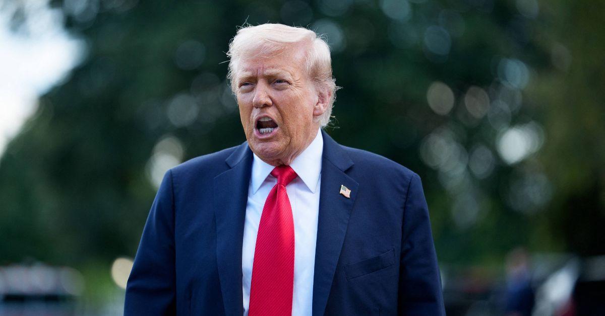 image of Donald Trump called Democrats 'sick people.'