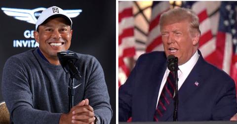 donald trump tiger woods