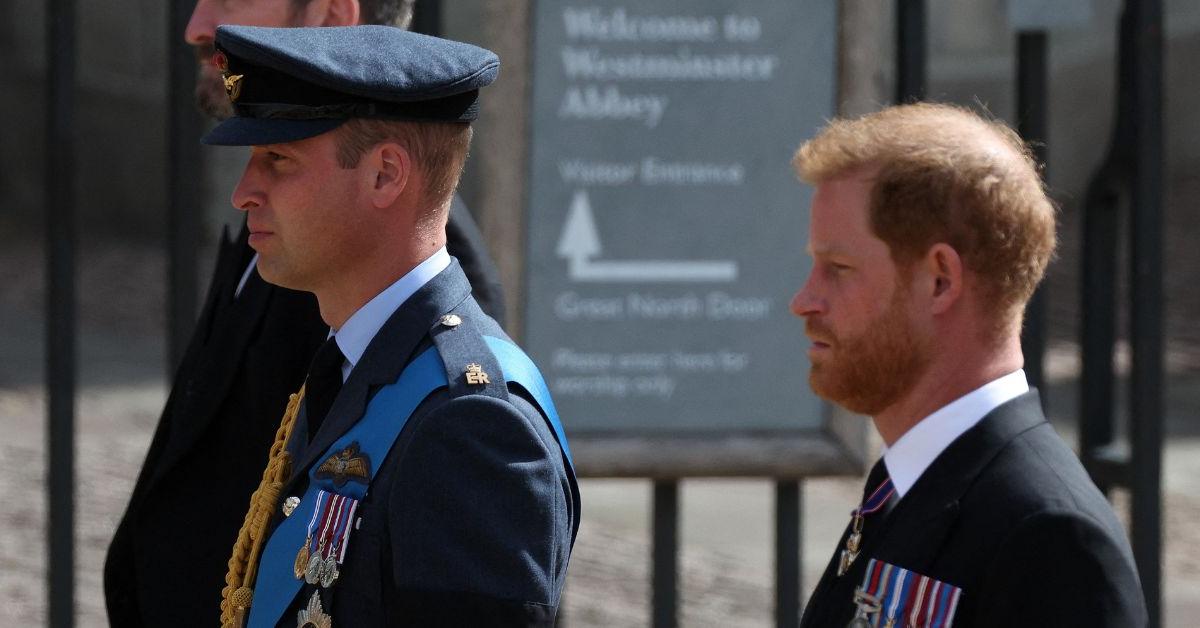 Prince Harry Wants To Win’ Back His Relationship With Prince William