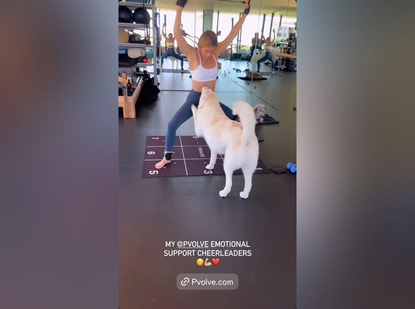 jennifer aniston shows toned abs workout dogs gym photos