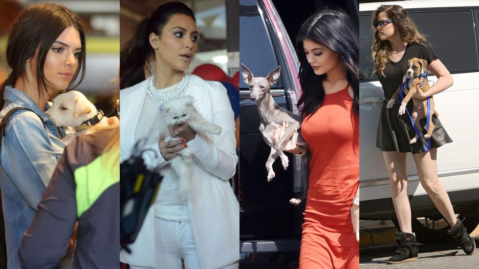 Kardashian pets