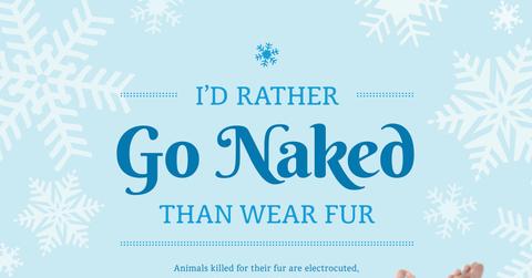 Evelyn Lozada strips for PETA