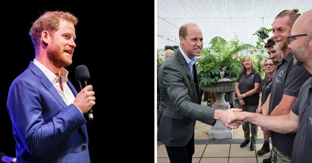 prince harry prince william feud need intervention