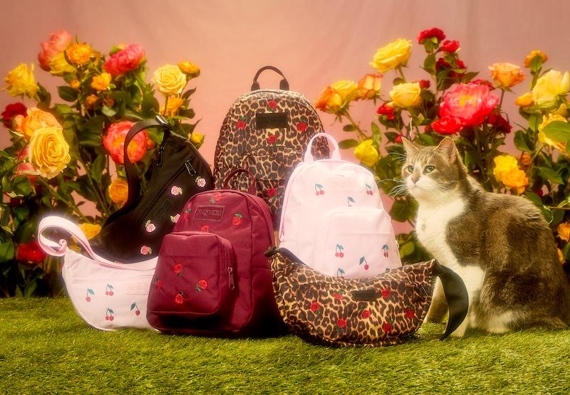 jansportvalentines   collection