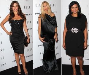 2011__01__kapling_vergera_zoejan283 300×267.jpg