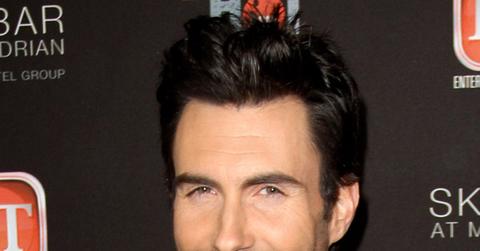 Mainadamlevine1115_0.jpg