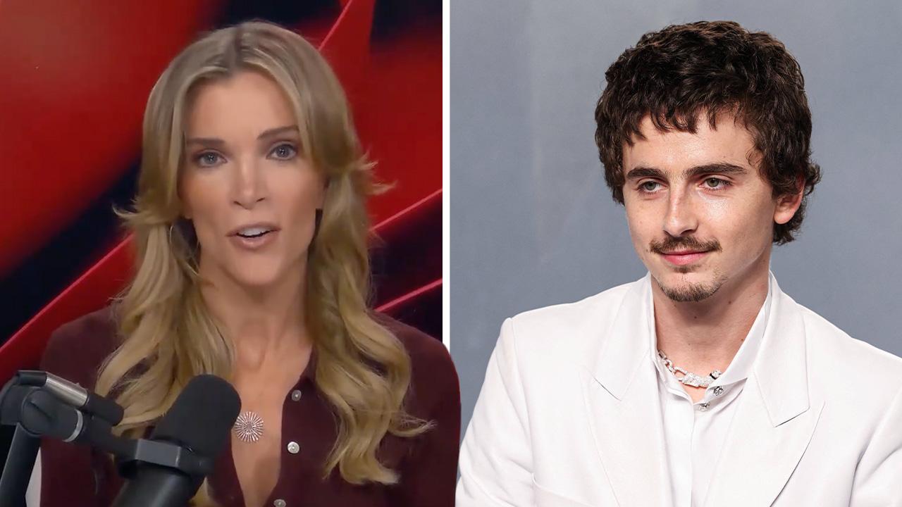 Photo of Megyn Kelly and Timothée Chalamet