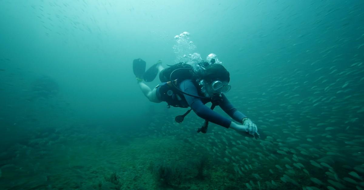 kingaddivingmiss louise