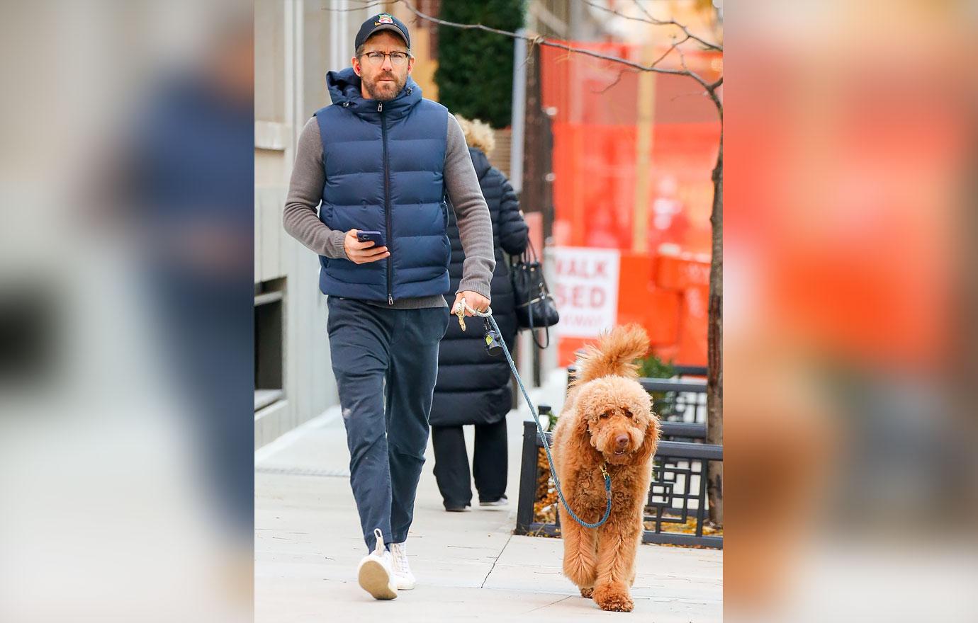 ryan reynolds walking his dog