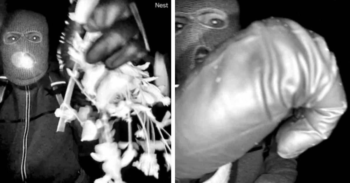 image of Police are searching for a masked suspect.