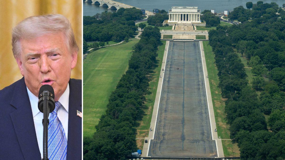 Photo of Donald Trump and the Lincoln Memorial Reflecting Pool.