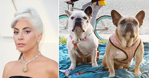 microsoftteams image