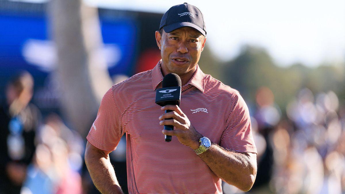 image of Tiger Woods' mugshot came out on March 27. 