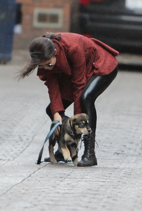 Selena gomez puppy oct25 532_ _1.jpg