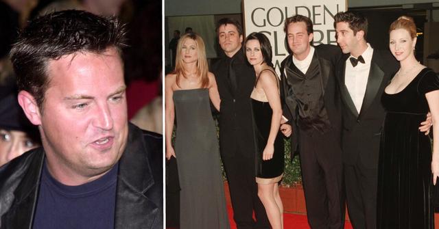 matt perry frinds pp