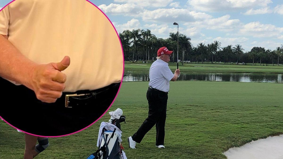 Composite photo of Donald Trump.