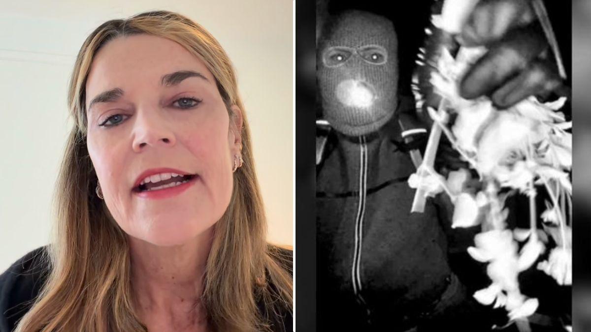 split of Savannah Guthrie, suspect. 