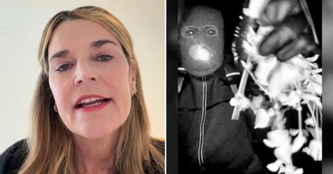 split of Savannah Guthrie, suspect.