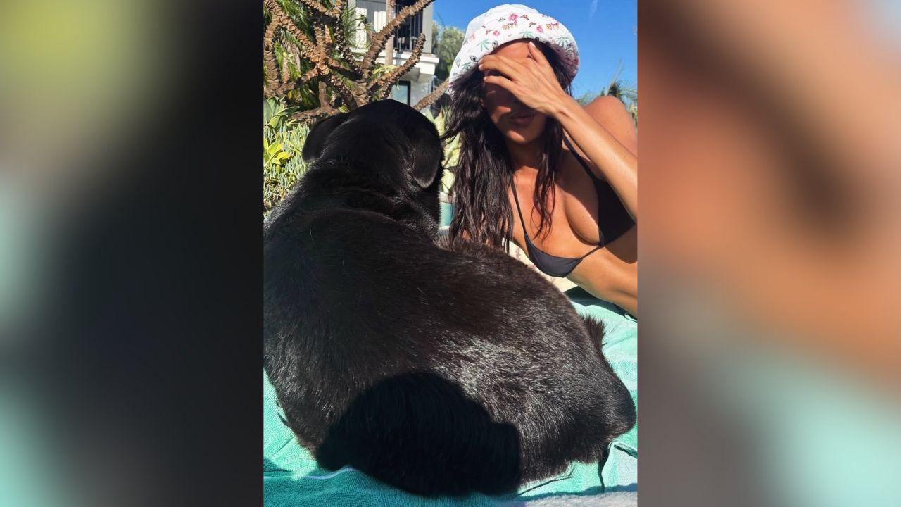 image of Ines de Ramon shared photos from a pool day, posing in a black bikini while spending time outdoors with several dogs.
