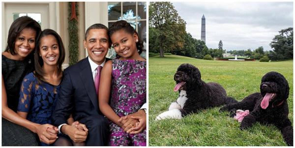 The Obamas