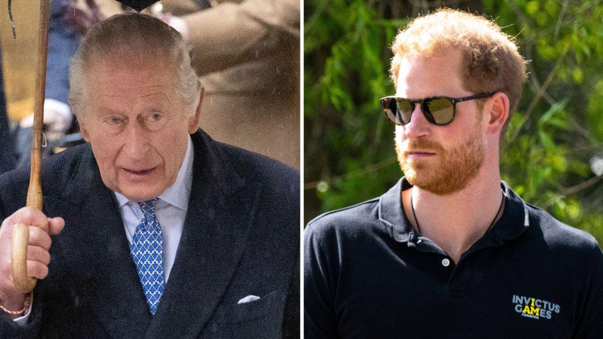 Split photo of Prince Harry and King Charles.