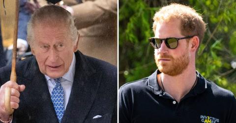Split photo of Prince Harry and King Charles.