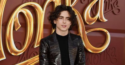 timothee chalamet oscars
