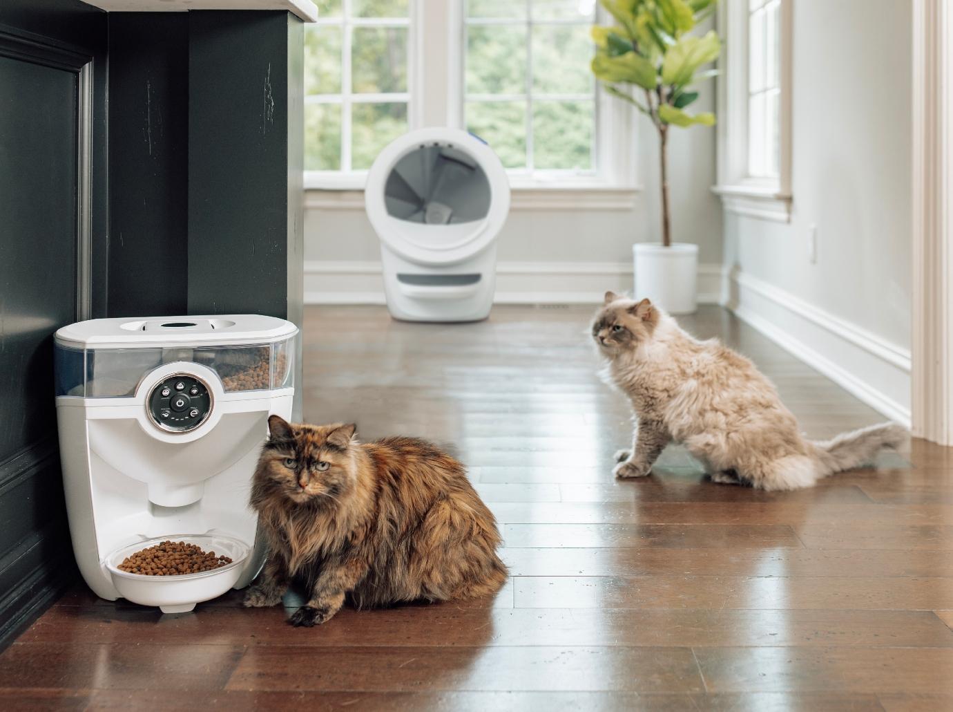 litter feeder robot