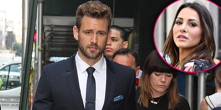 bachelor nick viall fantasy suite andi dorfman