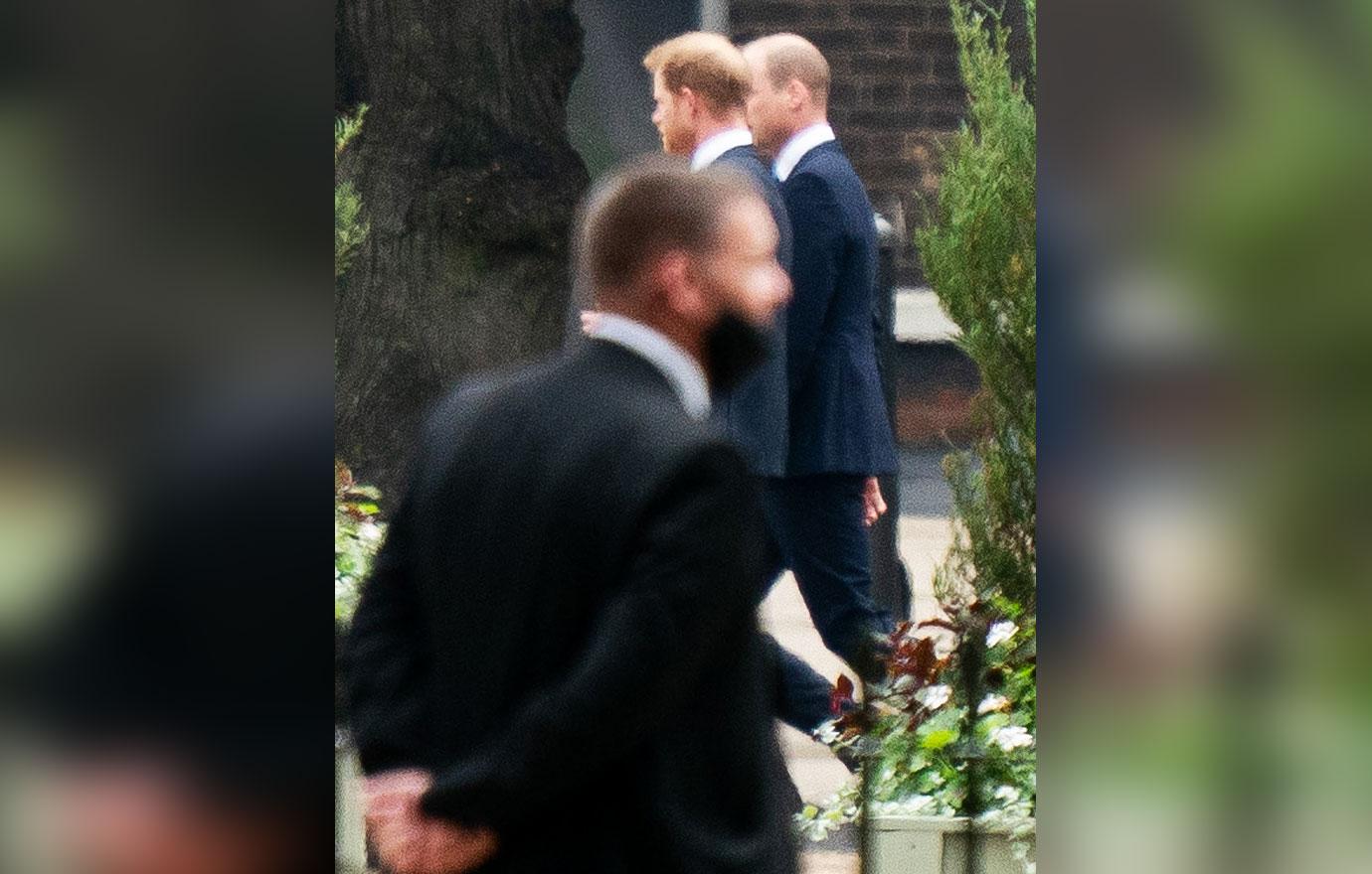 prince harry prince william stand together princess diana statue unveiling r