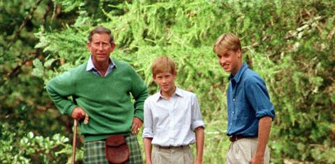 king charles loves prince harry prince william hold grudge