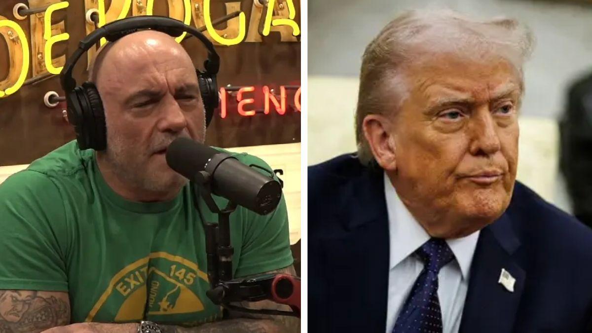 split photo of joe rogan and donald trump