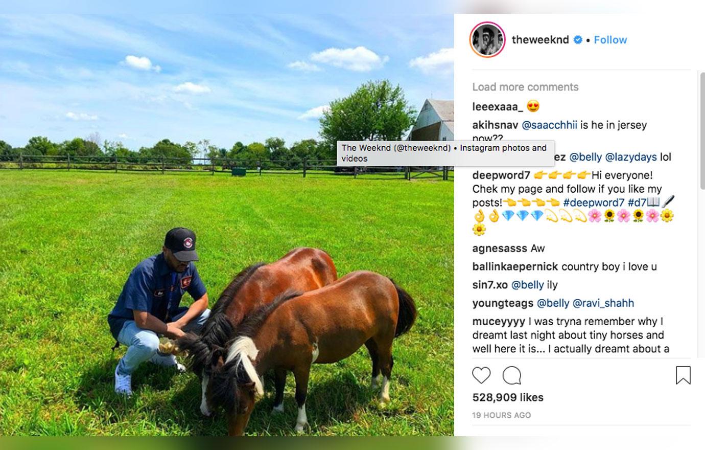 Bella hadid the weeknd hang out farm with yolanda 6