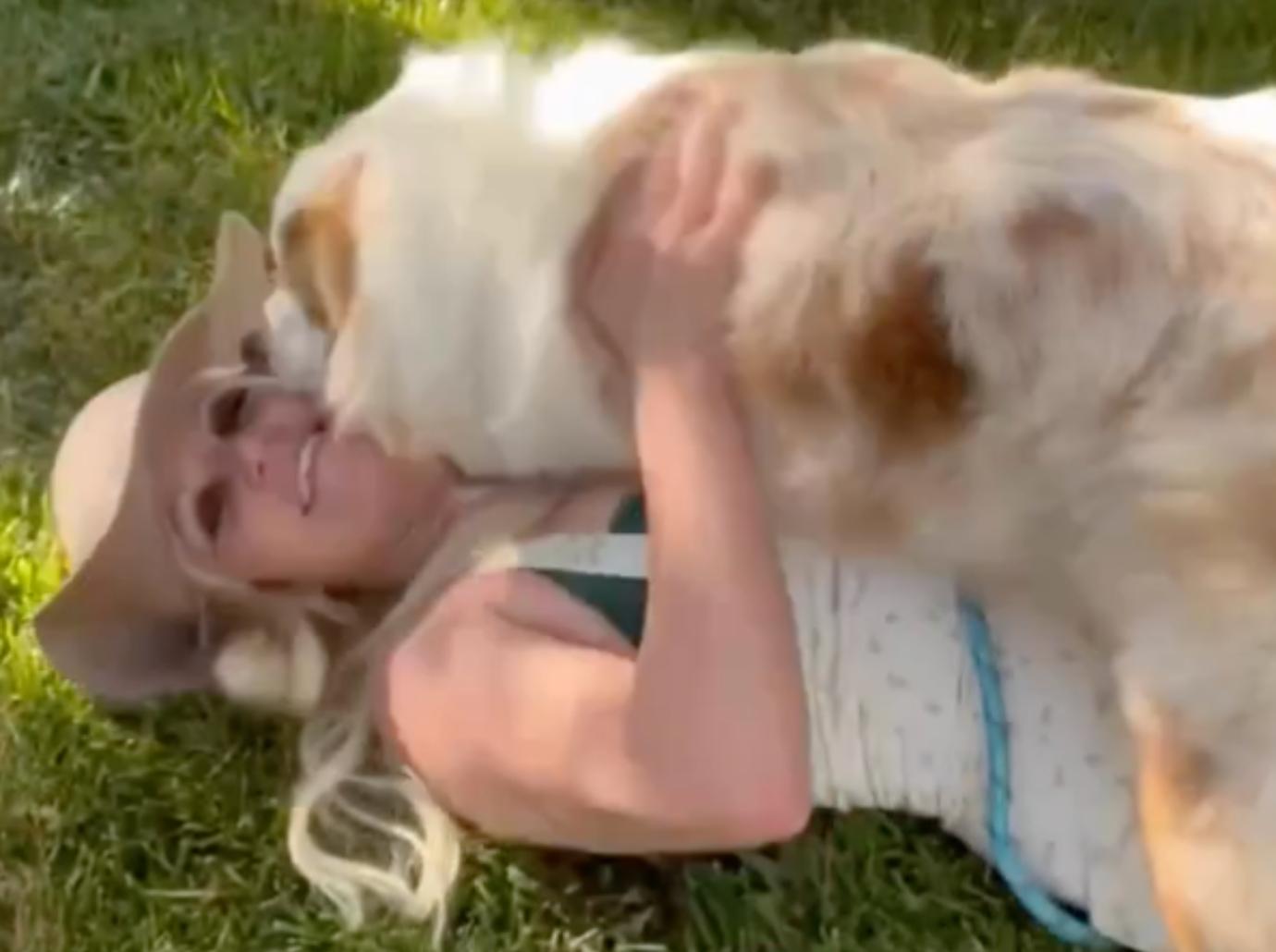 britney spears dogs knife video dangerous fans worried