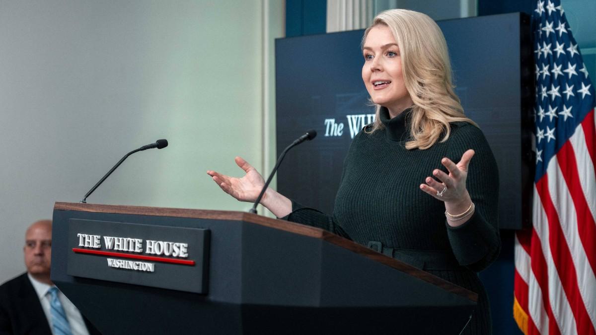 image of Karoline Leavitt said the CNN star was being 'disingenuous.'