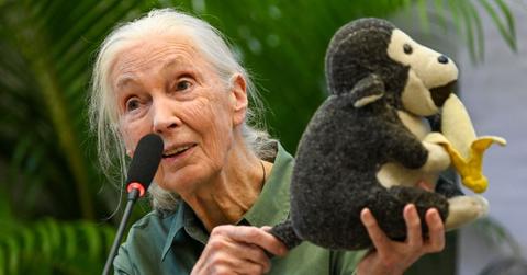jane goodall life in photos animal welfare activist dead at
