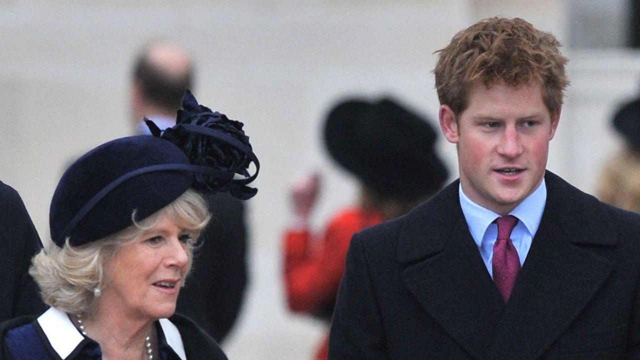 image of Queen Camilla reportedly offered Prince Harry tea during his July 10 meeting with members of the royal family.
