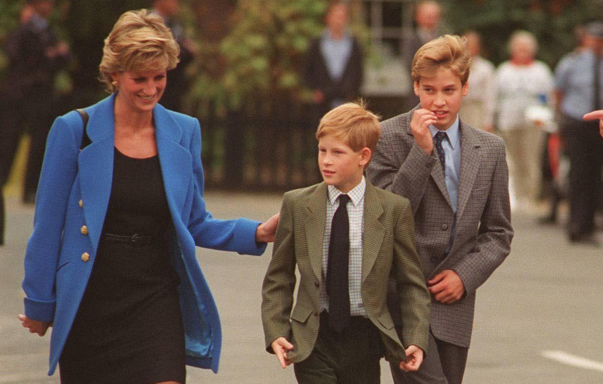 Princess Diana's bodyguard on Prince Harry and Meghan Markle's car chase:  'Only getting a part of the story