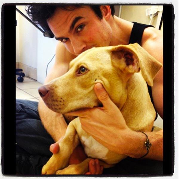 Ian Somerhalder