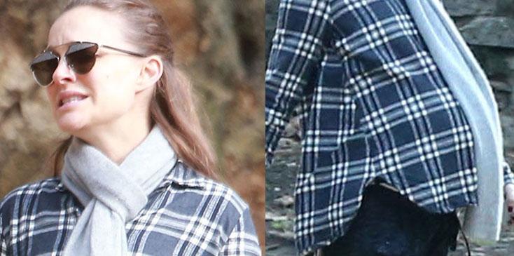 Pregnant natalie portman hikes friend 001