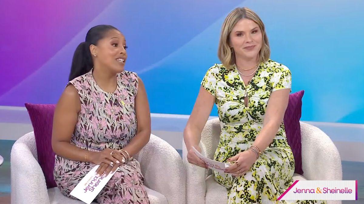 Image of Jenna Bush Hager called Savannah Guthrie the 'bravest.'