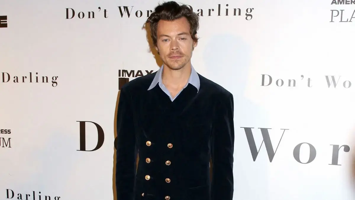 Image of Harry Styles attempted to walk away, but the man continued following him.
